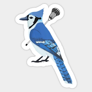 Lacrosse Blue Jay Sticker